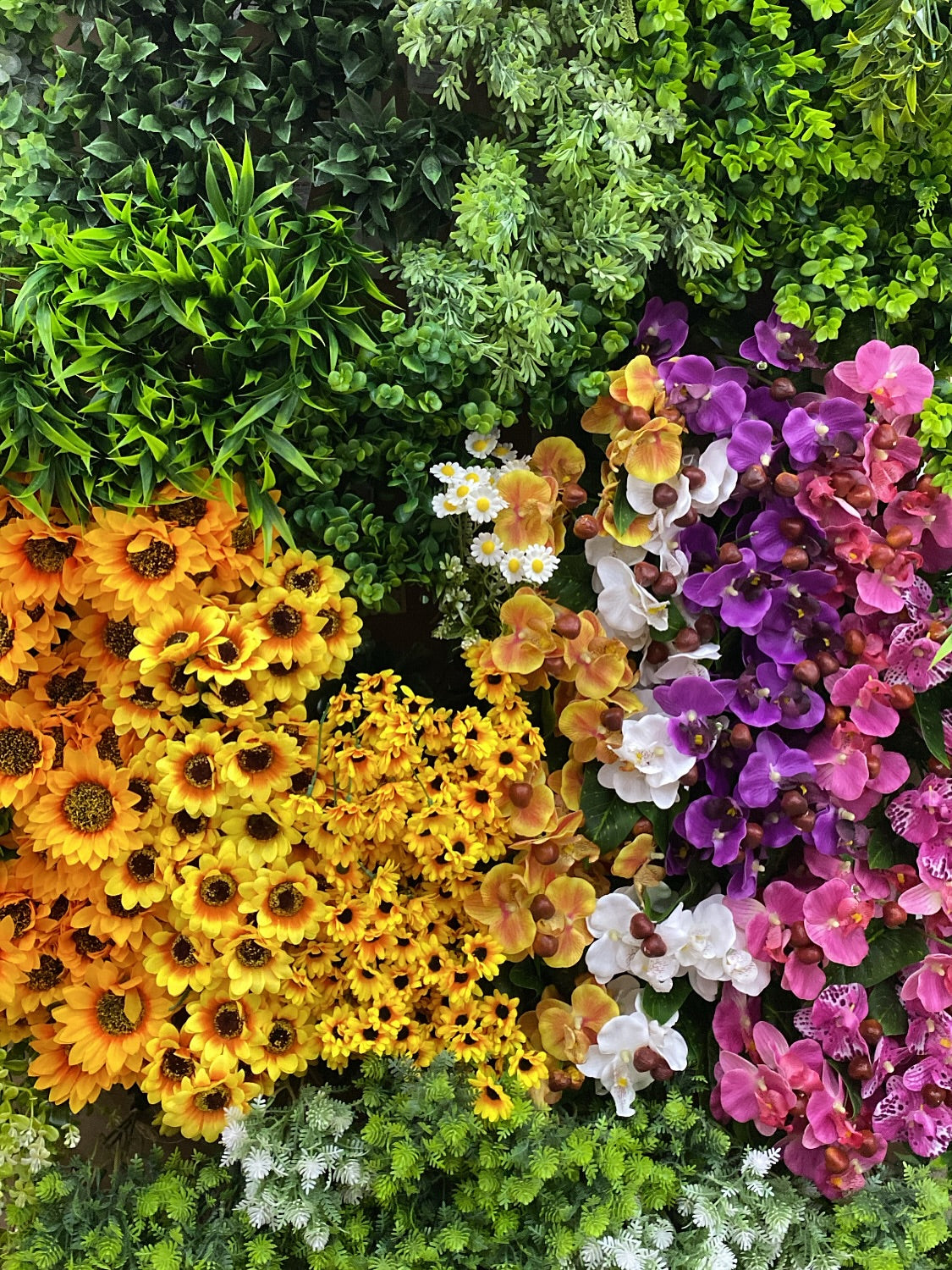 Flores